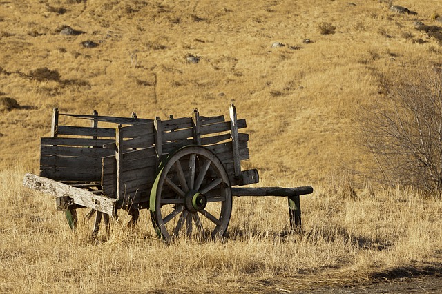 Free download argentina he caulker nature wagon free picture to be edited with GIMP free online image editor