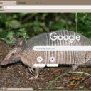 Armadillo  screen for extension Chrome web store in OffiDocs Chromium