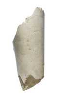 Free download Arm, forearm free photo or picture to be edited with GIMP online image editor