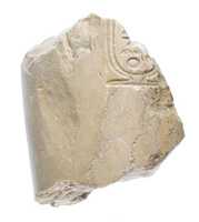 Free download Arm, outside shoulder, Aten cartouche free photo or picture to be edited with GIMP online image editor