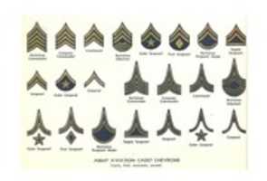 Unduh gratis Army Aviation Cadet Chevrons of the Second World War foto atau gambar gratis untuk diedit dengan editor gambar online GIMP