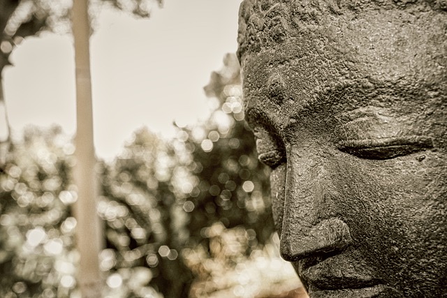 Muat turun percuma meditasi seni buddha zen buddhist gambar percuma untuk diedit dengan editor imej dalam talian percuma GIMP