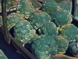 Free download Artichokes free photo or picture to be edited with GIMP online image editor