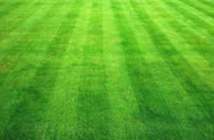 Free download Artificial Grass Manufacturer free photo or picture to be edited with GIMP online image editor