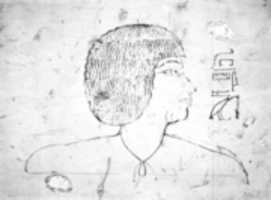 Free download Artists Sketches of  Senenmut free photo or picture to be edited with GIMP online image editor