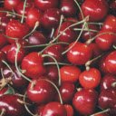 A Sea of Cherries  screen for extension Chrome web store in OffiDocs Chromium