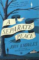 Free download A Separate Peace by John Knowles free photo or picture to be edited with GIMP online image editor