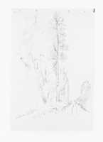 ດາວ​ໂຫຼດ​ຟຣີ Ash and Alder Aug 18 1885 (ຈາກ Sketchbook X​) ຮູບ​ພາບ​ຫຼື​ຮູບ​ພາບ​ທີ່​ຈະ​ໄດ້​ຮັບ​ການ​ແກ້​ໄຂ​ຟຣີ GIMP ອອນ​ໄລ​ນ​໌​ບັນ​ນາ​ທິ​ການ​ຮູບ​ພາບ