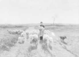 Descargue gratis una foto o imagen gratuita de A Shepherdess and Her Flock para editar con el editor de imágenes en línea GIMP