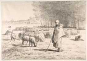 Free download A Shepherdess with Her Flock free photo or picture to be edited with GIMP online image editor