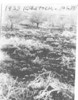 Free download Ashland Ice storm 1933 free photo or picture to be edited with GIMP online image editor