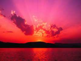 Free download aslah free photo or picture to be edited with GIMP online image editor