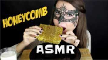 Free download asmr28 free photo or picture to be edited with GIMP online image editor