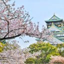 A Springtime Scene  screen for extension Chrome web store in OffiDocs Chromium