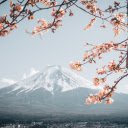 A Spring Vista with Mount Fuji  screen for extension Chrome web store in OffiDocs Chromium