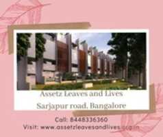 Free download Assetz Leaves And Lives Sarjapur Road free photo or picture to be edited with GIMP online image editor