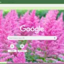 Astilbe  screen for extension Chrome web store in OffiDocs Chromium