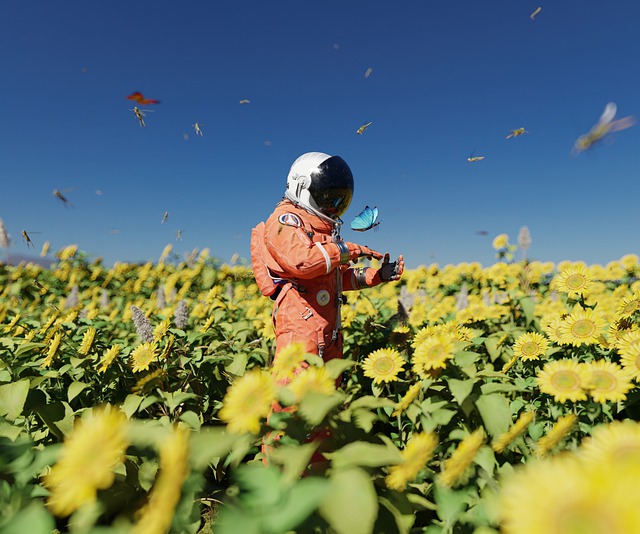 Free download astronaut sunflowers butterfly 3d free picture to be edited with GIMP free online image editor