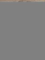 বিনামূল্যে ডাউনলোড করুন A Swallow in the Rain বিনামূল্যের ছবি বা ছবি GIMP অনলাইন ইমেজ এডিটর দিয়ে সম্পাদনা করতে হবে