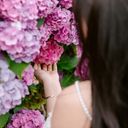 A Tactile Moment with Hydrangea macrophylla  screen for extension Chrome web store in OffiDocs Chromium
