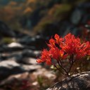 A tranquil forest landscape  screen for extension Chrome web store in OffiDocs Chromium