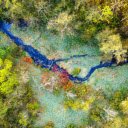 a tropical rainforest from a high vantage point  screen for extension Chrome web store in OffiDocs Chromium