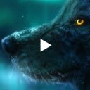 Aurora Borealis Wolf Live Wallpaper  screen for extension Chrome web store in OffiDocs Chromium
