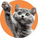 Auto Catslap  screen for extension Chrome web store in OffiDocs Chromium