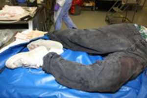 Unduh gratis Autopsy Photos IMG 0007 Pedie Perez foto atau gambar gratis untuk diedit dengan editor gambar online GIMP