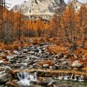 Autumnal Serenity  screen for extension Chrome web store in OffiDocs Chromium