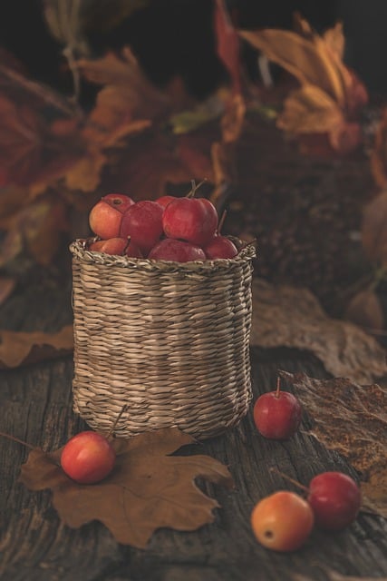 Kostenloser Download Herbst Herbstfarben Saison Äpfel Kostenloses Bild, das mit dem kostenlosen Online-Bildeditor GIMP bearbeitet werden kann