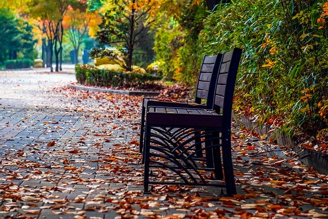 Free download autumn bench leaves park trail free picture to be edited with GIMP free online image editor