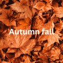 Autumn fall  screen for extension Chrome web store in OffiDocs Chromium