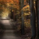 Autumn Forest Path  screen for extension Chrome web store in OffiDocs Chromium