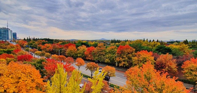 韓国の秋の一山を無料ダウンロード GIMP 無料オンライン画像エディターで編集できる無料画像
