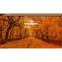 Autumn in the Morning  screen for extension Chrome web store in OffiDocs Chromium
