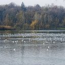 autumn lake  screen for extension Chrome web store in OffiDocs Chromium