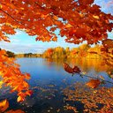 Autumn lake wallpaper  screen for extension Chrome web store in OffiDocs Chromium