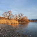 Autumn lake with yellow leaves  screen for extension Chrome web store in OffiDocs Chromium