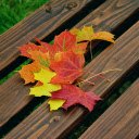 Autumn leaves  screen for extension Chrome web store in OffiDocs Chromium