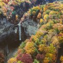 Autumn Mountain Forest  screen for extension Chrome web store in OffiDocs Chromium