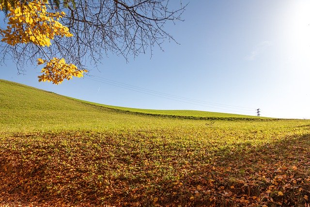 秋の自然、秋の草原、GIMP で編集できる無料画像を無料でダウンロード無料のオンライン画像エディター