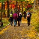 Autumn park  screen for extension Chrome web store in OffiDocs Chromium