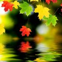 Autumn Reflection  screen for extension Chrome web store in OffiDocs Chromium