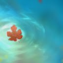 Autumn Ripple  screen for extension Chrome web store in OffiDocs Chromium