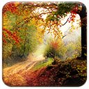 Unduh gratis Autumn Road - foto atau gambar gratis untuk diedit dengan editor gambar online GIMP