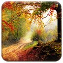 Download gratuito Autumn Road - foto o immagine gratuita da modificare con l'editor di immagini online di GIMP