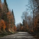 Autumn road and trees  screen for extension Chrome web store in OffiDocs Chromium