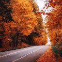 AUTUMN ROAD THEME  screen for extension Chrome web store in OffiDocs Chromium