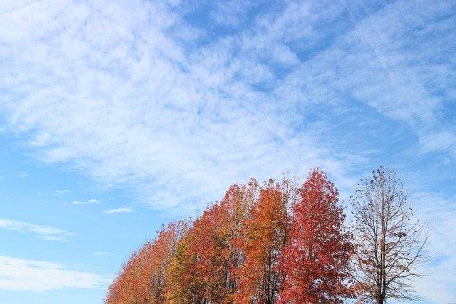 تنزيل مجاني لـ Autumn Sky - صورة مجانية أو صورة لتحريرها باستخدام محرر الصور عبر الإنترنت GIMP